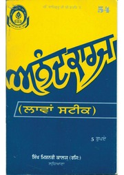 Anand Karaz Laava Steek — cover