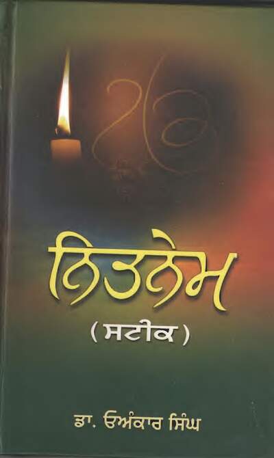 Nitnem Steek - Dr Onkar Singh — cover