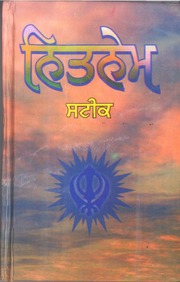 Nitnem Steek - Narian Singh — cover