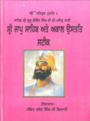 Sri Jaap Sahib Ate Akaal Ustat Steek — cover