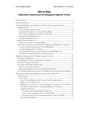 Still At Risk - Diplomatic Assurances No Safeguard Against Torture — cover