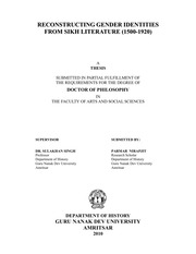 RECONSTRUCTING GENDER IDENTITIES — cover